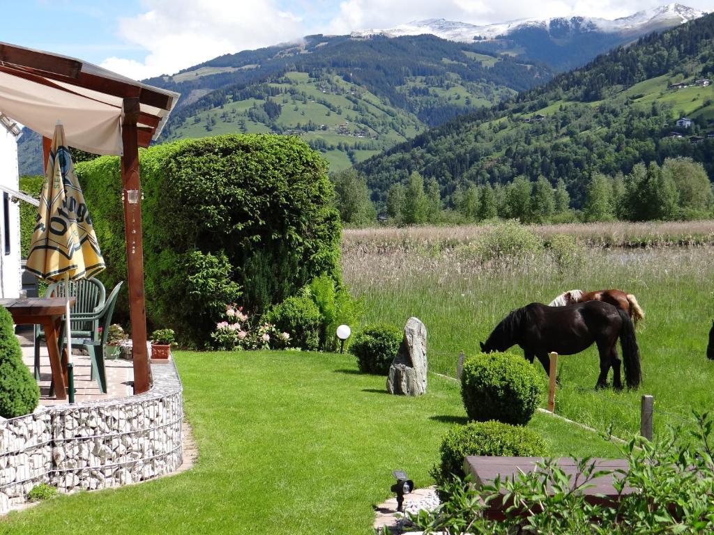Appartement Plattner Zell am See Bagian luar foto